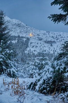 Winter landschap met kerstboom op Godøy, Ålesund, Noorwegen van qtx