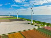 Tulips fields with wind turbines in the background seen from above by Sjoerd van der Wal Photography thumbnail