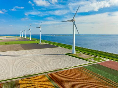 Tulpenvelden met windturbines op de achtergrond van bovenaf gezien