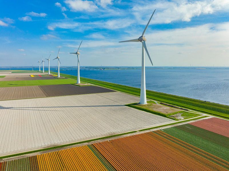 Tulips fields with wind turbines in the background seen from above by Sjoerd van der Wal Photography