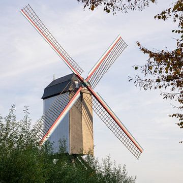 Windmühlen von Brügge, Flandern, Belgien