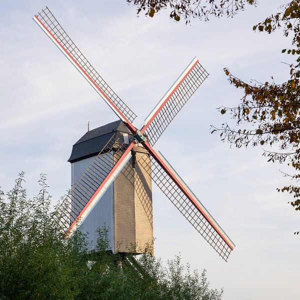 Windmühlen von Brügge, Flandern, Belgien von Alexander Ludwig