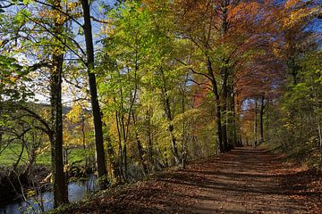 Pad langs de Geul laat in de herfst - Path along the Geul late in the fall van Ton Reijnaerdts