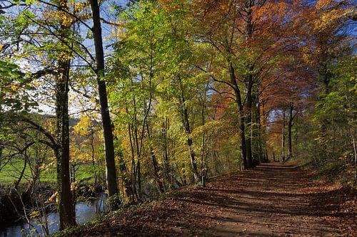 Pad langs de Geul laat in de herfst - Path along the Geul late in the fall