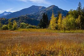 Moor in autumn, Allgäu by Walter G. Allgöwer