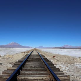 Die Spur zum Horizont von Johannes Gho