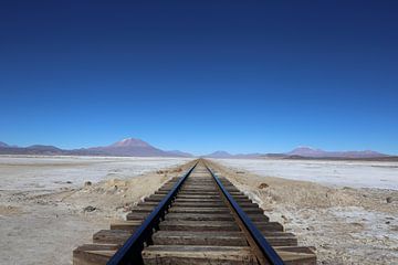 Het spoor naar de horizon van Johannes Gho