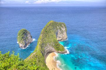 Het herkenningspunt van Nusa Penida - Kelingking Beach van bovenaf van Roith Fotografie