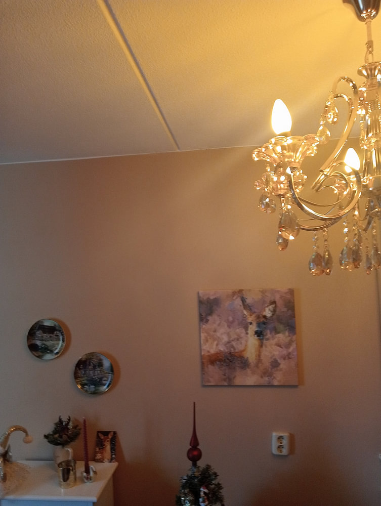 Cerfs dans la lande - peinture