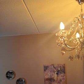 Customer photo: Deer on the moors - painting by Gianni Argese, on canvas