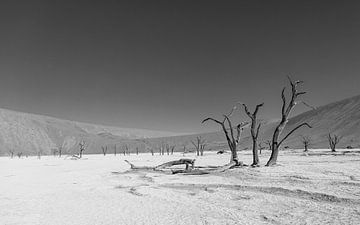 Deadvlei in zwartwit van Lennart Verheuvel