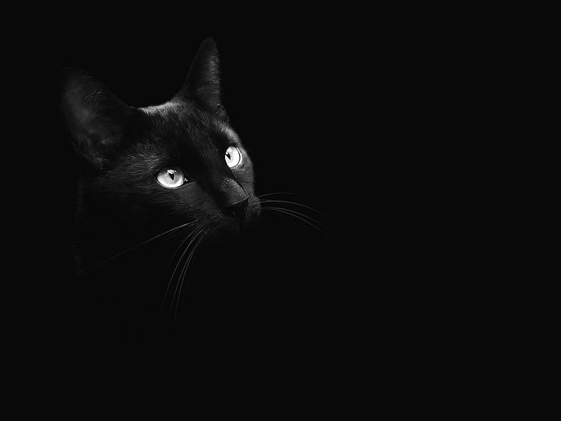 Ares by Elo Mars