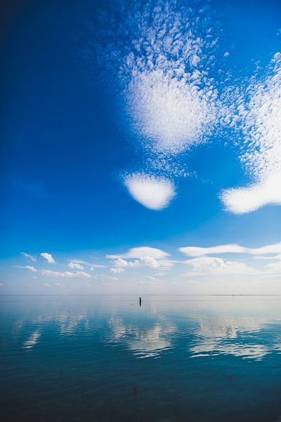 Oosterschelde van Andy Troy