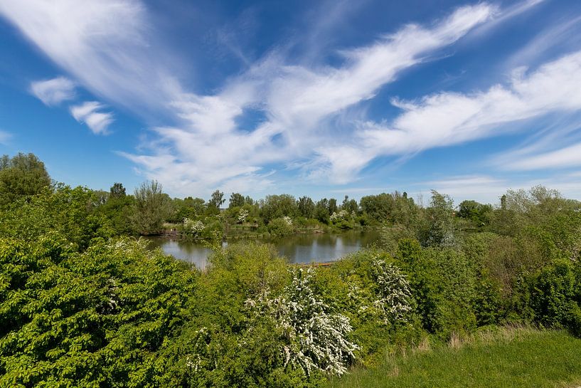 Aan de Altmühlsee van Teresa Bauer