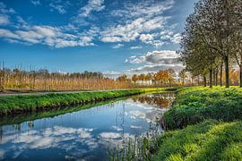 paysage
