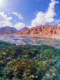 both worlds become 1 by thomas van puymbroeck