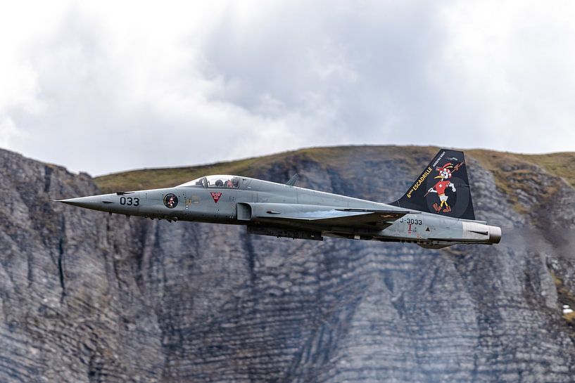 Schweizer Northrop F-5E Tiger II. von Jaap van den Berg