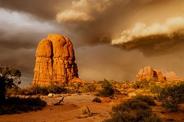 Arches National Park - Golden Sky van Angelique Faber