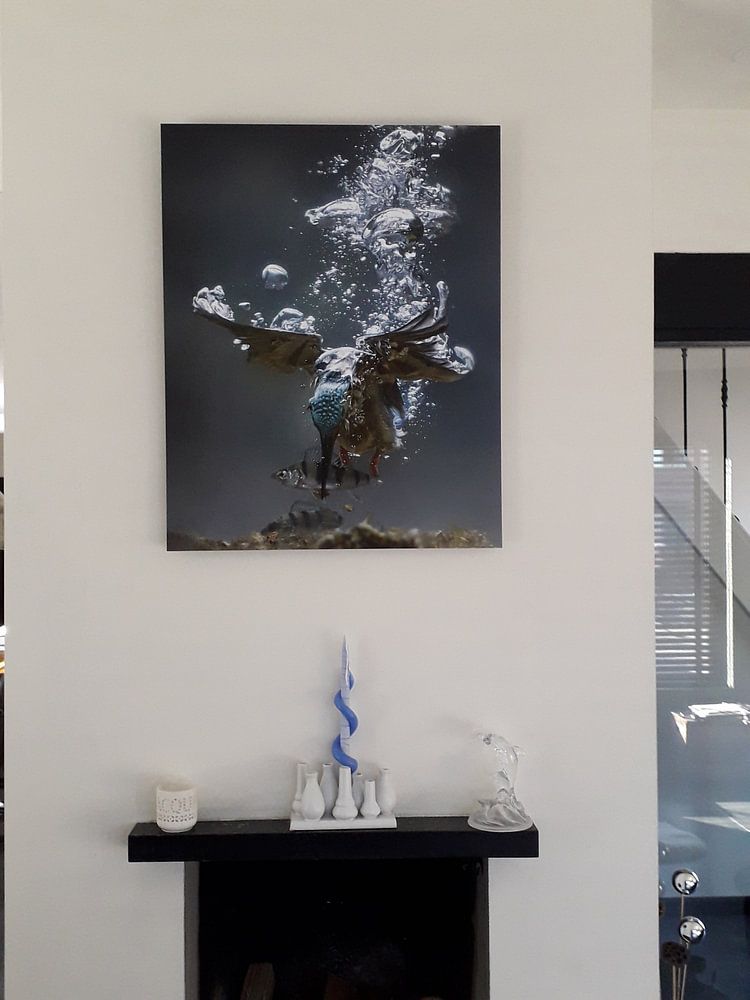 Eisvogel (ubter Wasser), von Jaap La Brijn