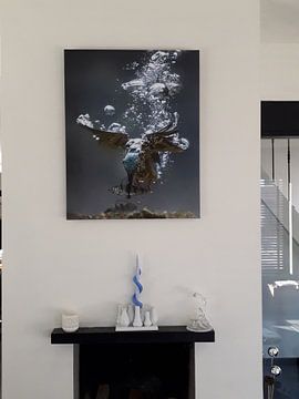 Klantfoto: Duikende ijsvogel (onder water) van Jaap La Brijn