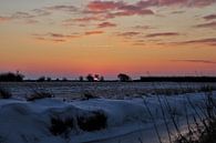 Winter I van Marco van de Pol thumbnail