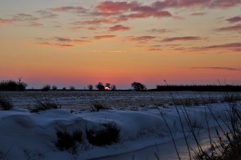 Winter I van Marco van de Pol