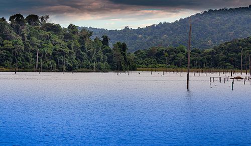 Lake Brokopondo in Suriname