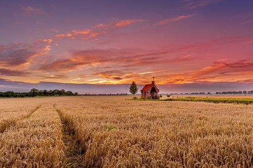Chapelle du champ de céréales