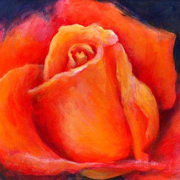 Feurige Rose von Karen Kaspar
