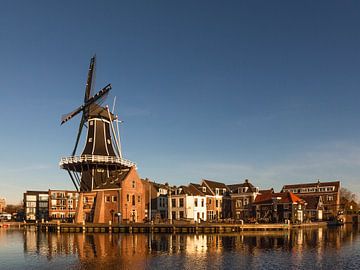 Die Adriaan - Haarlem