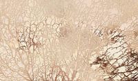 Scandinavian Forest Abstract by Mad Dog Art thumbnail