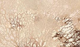 Skandinavischer Wald Abstrakt