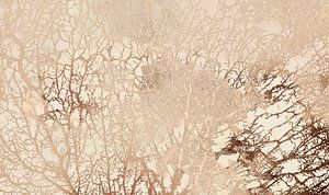 Skandinavischer Wald Abstrakt