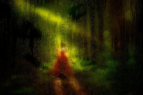 Lady In Red door de Regen