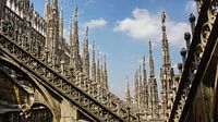 Dom Milan