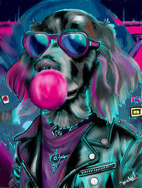 Eddi, le chien cool sur Tanlenzt
