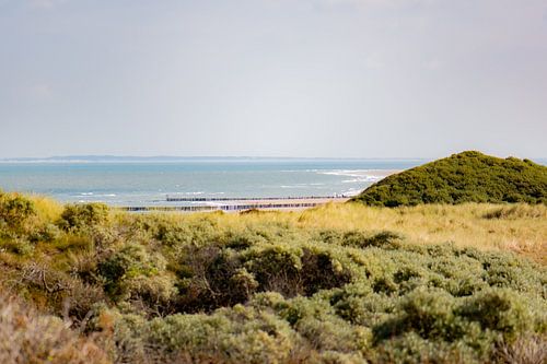 Noordzee vanuit de duinen