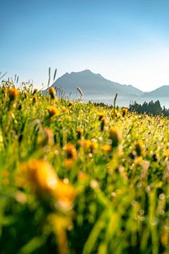 Lever de soleil avec vue sur le Grünten sur Leo Schindzielorz