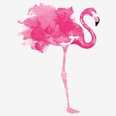 Flamingo's