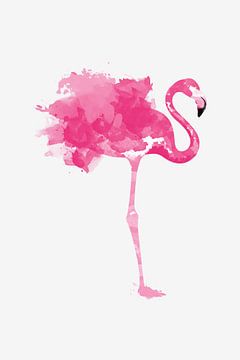 Flamingo van Felix Brönnimann