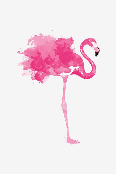 Flamingo von Felix Brönnimann