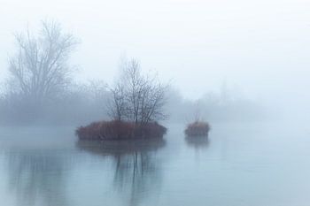 Kleine Insel im Nebel