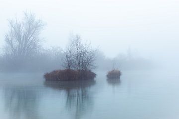Klein eiland in de mist van Nico Hochberger