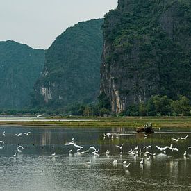 Vietnam by Joni Israeli