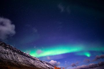 Grün-purpurne Nordlichter bei Mondschein in Island von John Ozguc