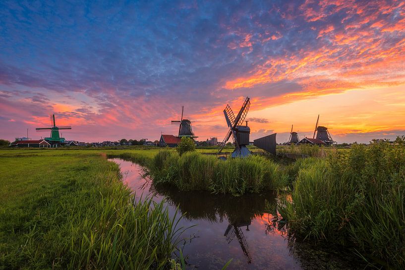 Nederlands landschap van Pieter Struiksma
