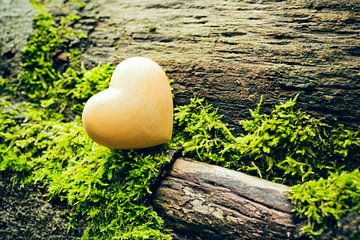 Een decoratief hart in het bos van Denny Gruner
