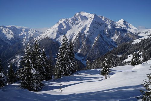 Winterwandeling in de Tuxer Alpen in Oostenrijk