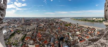 Vue de la cathédrale d'Anvers : Direction Groenplaats sur Martijn