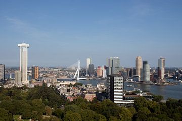 Uitzicht op Rotterdam met Erasmusbrug vanaf Euromast van David van der Kloos